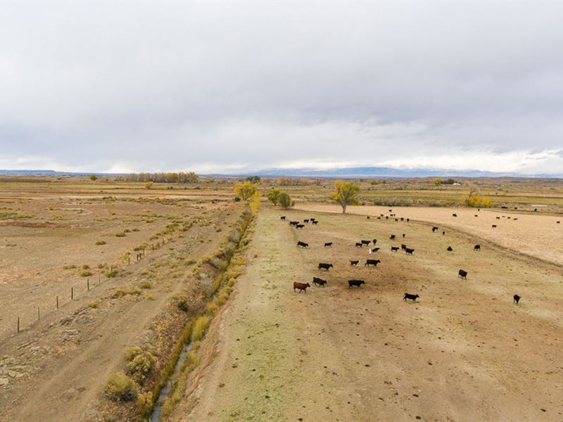 Big Irrigated Option 1 : Powell : Park County : Wyoming