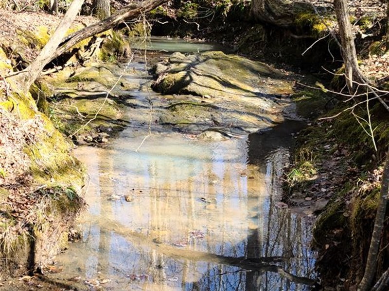 Perfect Family Hunting Tract : Greensboro : Greene County : Georgia