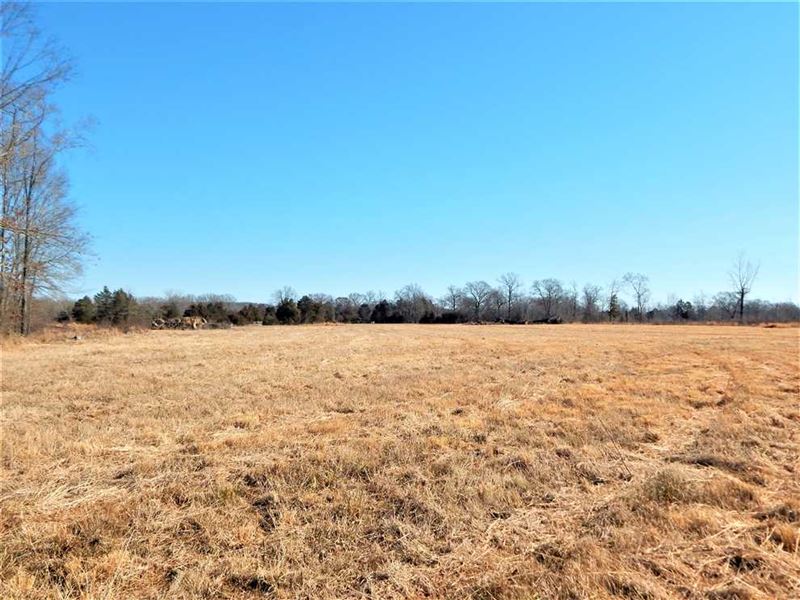 39.3 Acres Enola, Faulkner County : Enola : Faulkner County : Arkansas