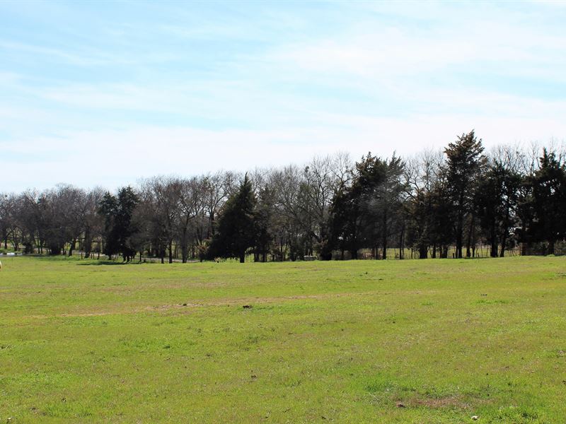 30 East Texas Acres, Pasture Land : Como : Wood County : Texas