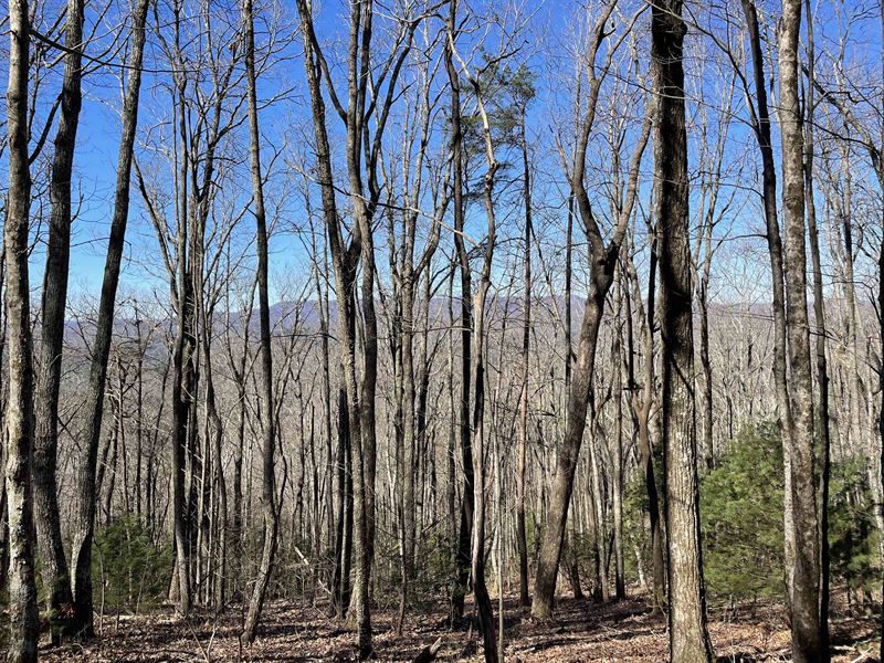 Mountain Views 3.3 MI to Blue Ridge : Blue Ridge : Gilmer County : Georgia