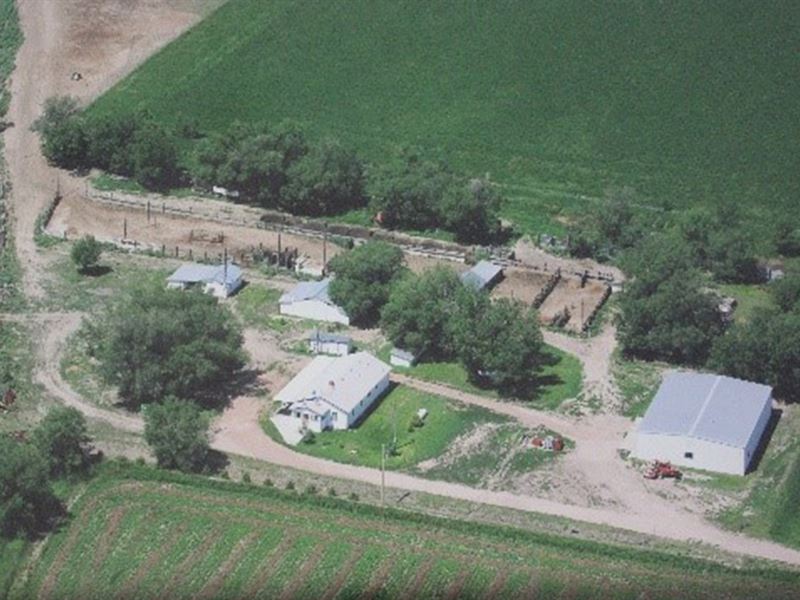 Sanchez Irrigated Farm : Torrington : Goshen County : Wyoming