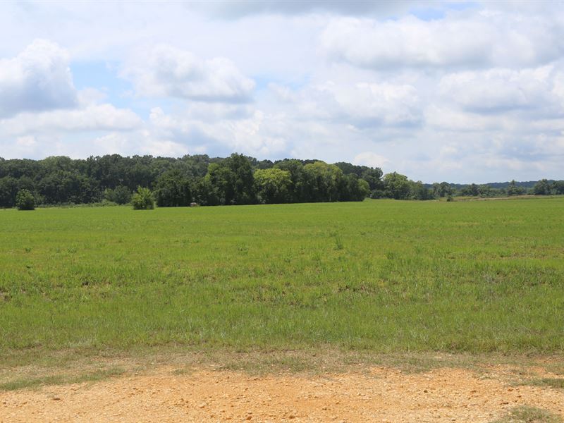 Alabama River Property : Montgomery : Lowndes County : Alabama