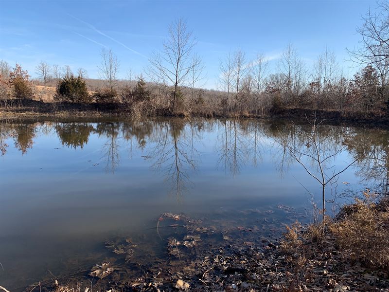 Southern Missouri Land for Sale : Hartville : Howell County : Missouri