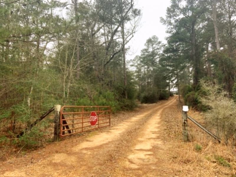 170 Acres Land for Sale Hunting Cam : Foxworth : Marion County : Mississippi