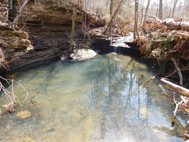 Hunting Recreational Land Jasper : Jasper : Newton County : Arkansas