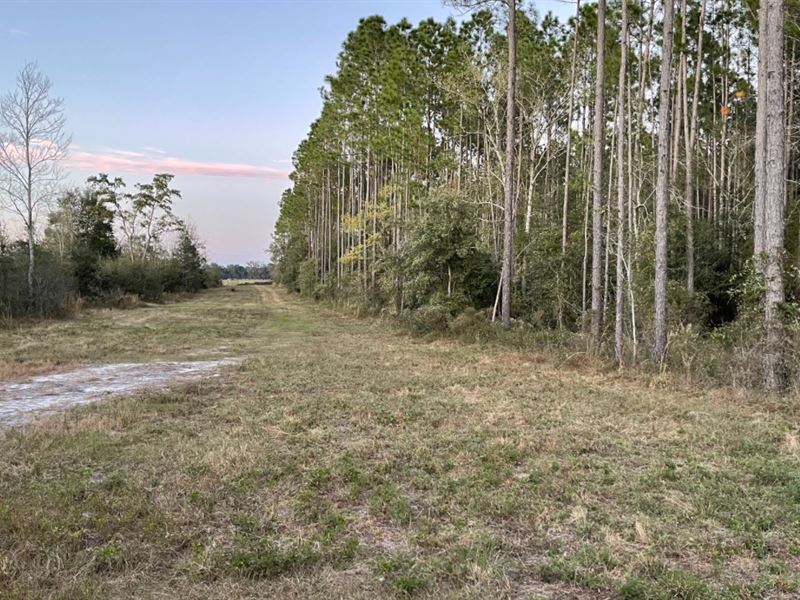 10 Acres Available Private S/D : Live Oak : Suwannee County : Florida