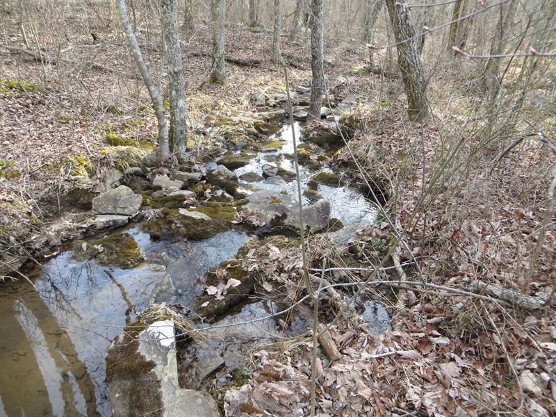 Rock Formations, Creek, rd Frontage : Spring City : Bledsoe County : Tennessee
