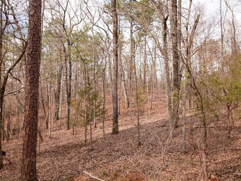 Beautiful Investment Property in Re : Wetumpka : Elmore County : Alabama