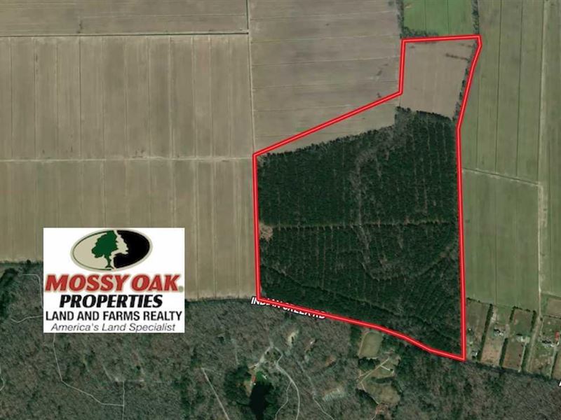 105 Acre Tract : Chesapeake : Chesapeake County : Virginia