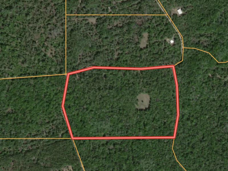 Tiger Island Hunting Land : Chiefland : Levy County : Florida
