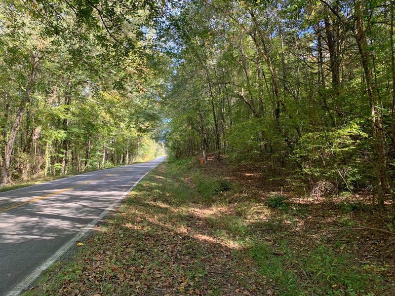 Wooded Acreage, Ranch for Sale in South Carolina, 271312 RANCHFLIP