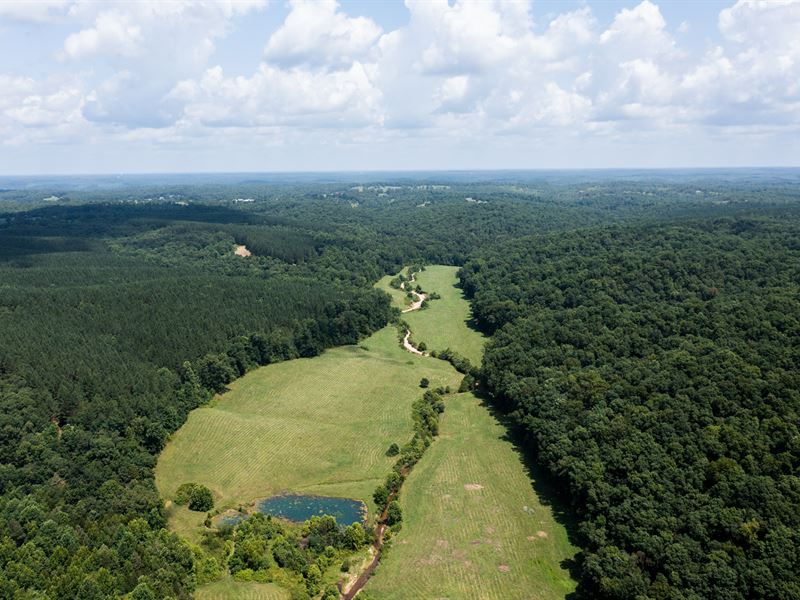 Beautiful Farm in Hurricane Creek : McEwen : Humphreys County : Tennessee