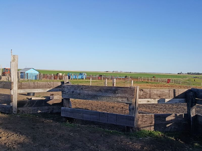 Cheyenne County Farmstead : Sidney : Cheyenne County : Nebraska