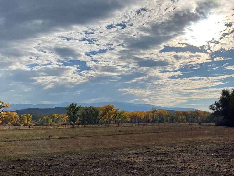 River Island Property : Silt : Garfield County : Colorado