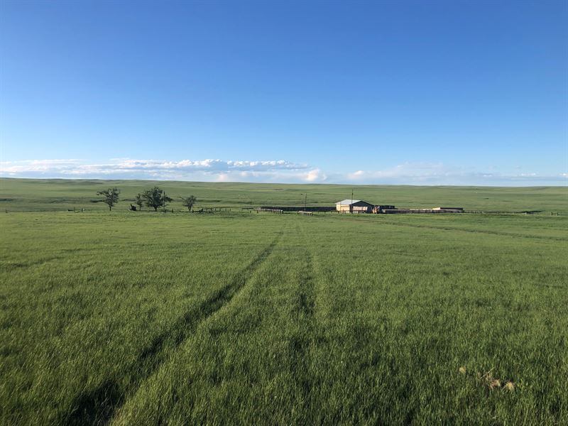 Western Nebraska Grass Pasture : Chadron : Dawes County : Nebraska