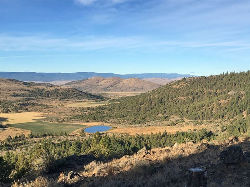 North Ochoco Ranch : Mitchell : Wheeler County : Oregon