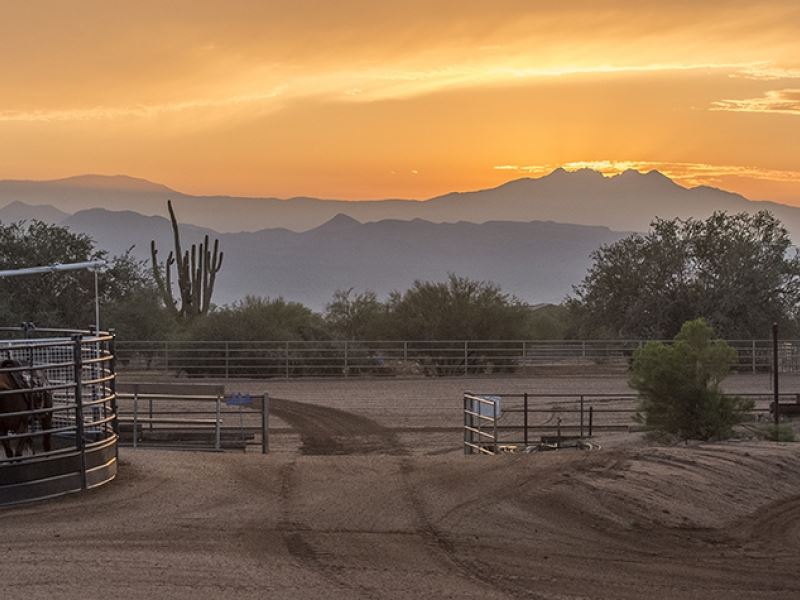 Almosta Ranch : Scottsdale : Maricopa County : Arizona
