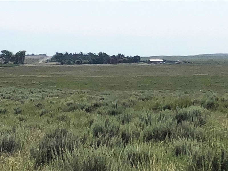 Trout Ranch : Alliance : Morrill County : Nebraska