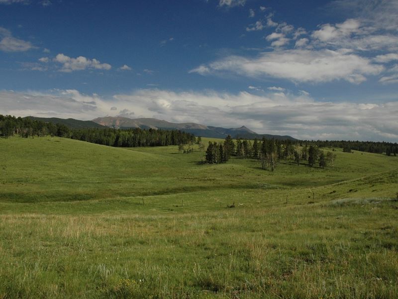 Ute Pass Ranch : Divide : Teller County : Colorado