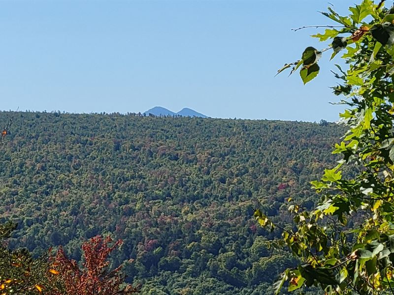 Caratunk, Smith Lot : Caratunk : Somerset County : Maine