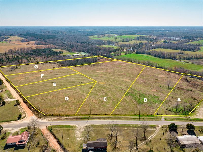 Land Auction South Slocomb Alabama : Slocomb : Geneva County : Alabama