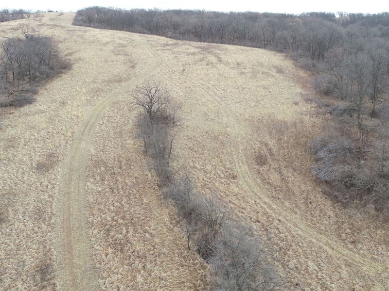 Monroe County Whitetail Hunting : Lovilia : Monroe County : Iowa