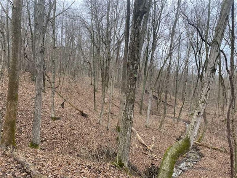 19 Acres, Franklin County : Connersville : Union County : Indiana