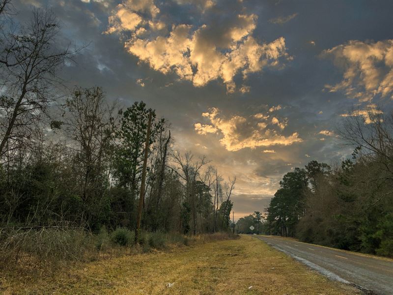 30 Acres, B5 & B6 Silsbee Stake : Silsbee : Hardin County : Texas