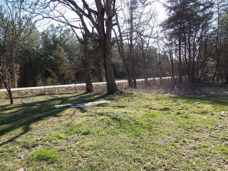 Seasonal Creek, Hardwoods, Pasture : Pikeville : Bledsoe County : Tennessee