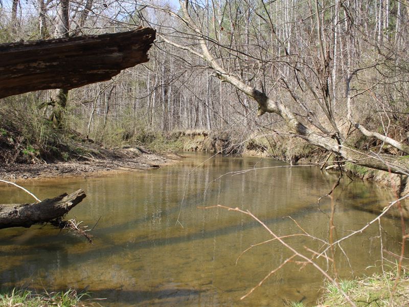 Cane Creek Tract : Fruithurst : Cleburne County : Alabama