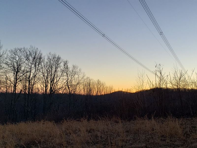 Secluded Land in Indian Valley VA : Indian Valley : Floyd County : Virginia