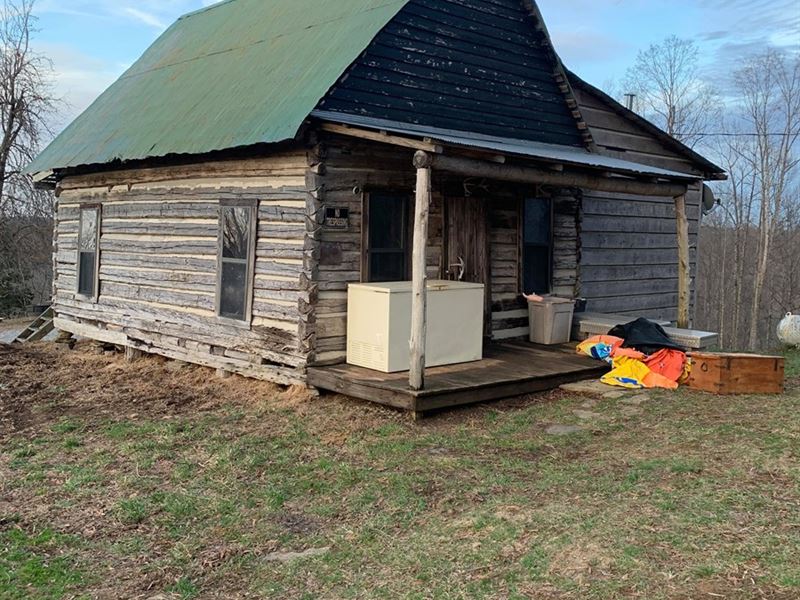 Cabin with 52 Acres Burkesville KY : Burkesville : Cumberland County : Kentucky