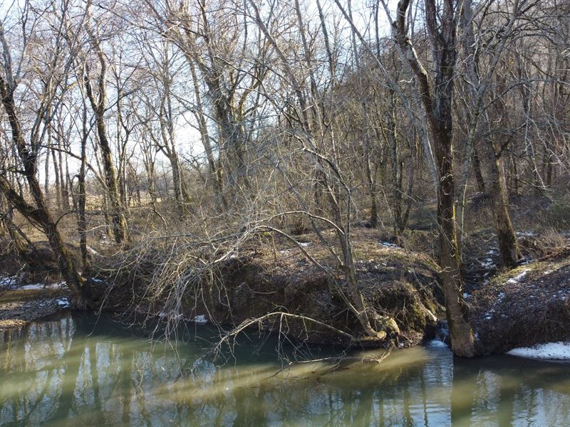 Buffalo River Frontage, Ranch for Sale in Tennessee, 271800 RANCHFLIP