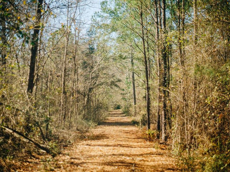 Lawrence Church Road : Pembroke : Bulloch County : Georgia