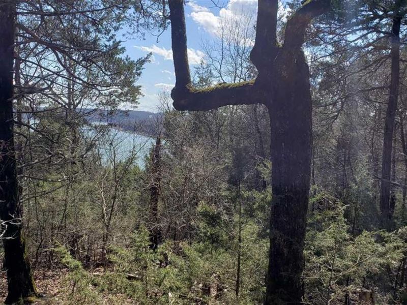 Bull Shoals Lake Horseshoe Bend : Forsyth : Taney County : Missouri