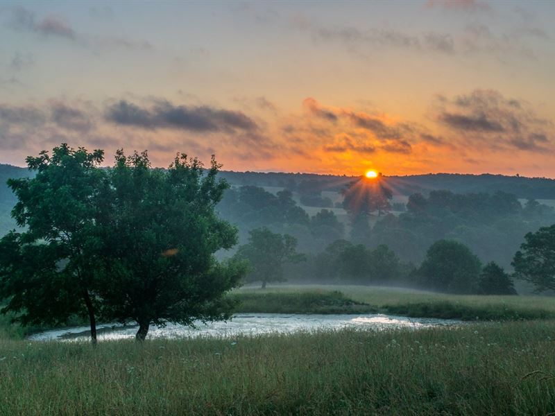 Cattle Ranch for Sale : Cabool : Howell County : Missouri