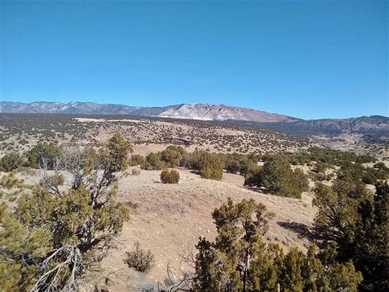 Canyon at Wilson Creek : Canon City : Fremont County : Colorado