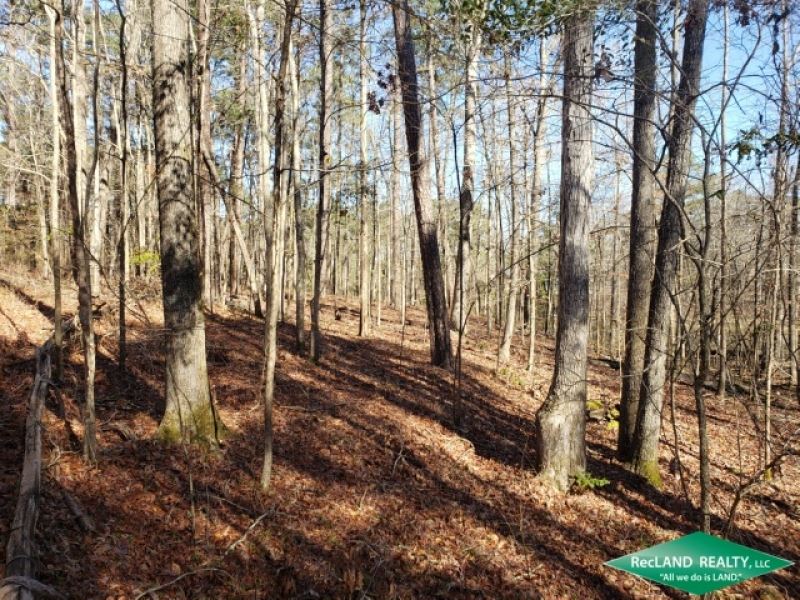 15 Ac, Wooded Tract with Pond : Calhoun : Ouachita Parish : Louisiana