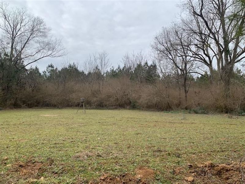 Hunting Land Amite County : Centerville : Amite County : Mississippi