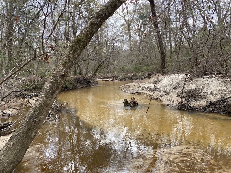 Deer Hunting with Nice Creek : Hurtsboro : Russell County : Alabama