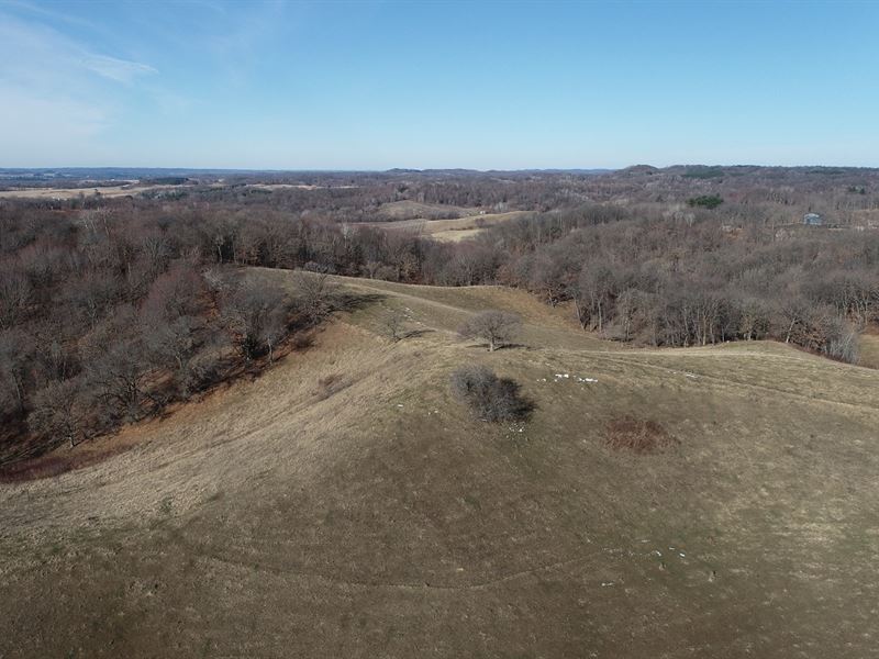 201 Acres Eau Claire County, WI : Eleva : Eau Claire County : Wisconsin