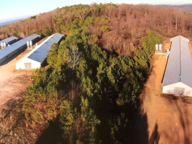 Pullet Farm with 24 Acres : Lincoln : Talladega County : Alabama