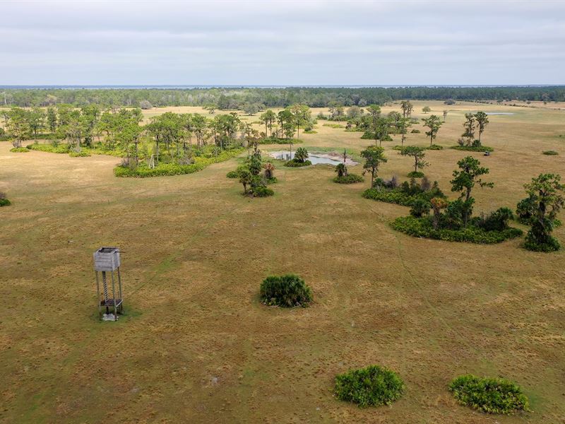 FX Bar 442 Acres : Frostproof : Polk County : Florida