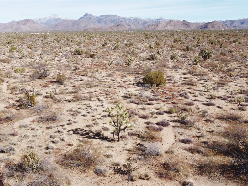 40 Acres in Lake Havasu City, AZ : Lake Havasu City : Mohave County : Arizona