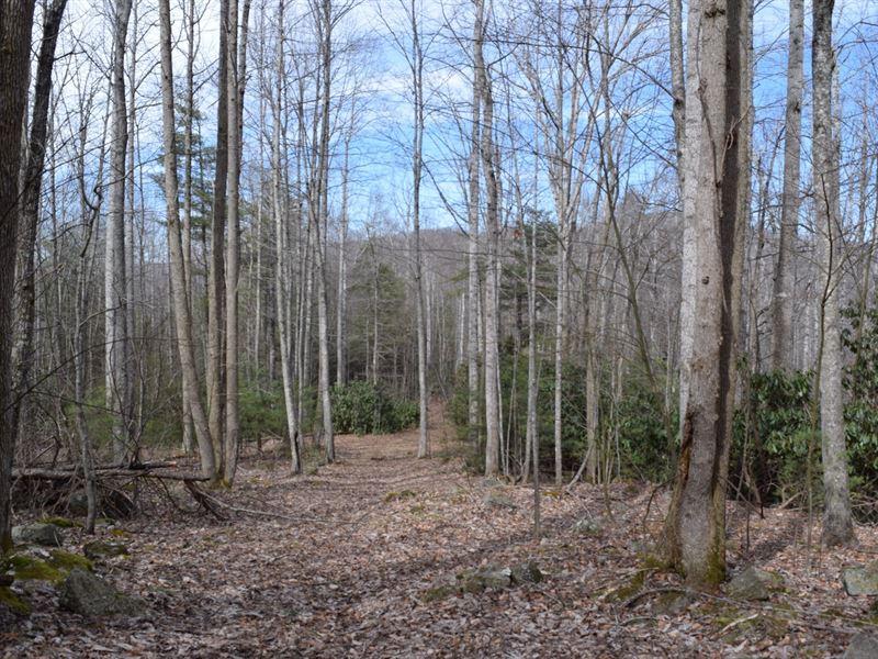 Land for Sale in Bent Mountain VA : Bent Mountain : Roanoke County : Virginia
