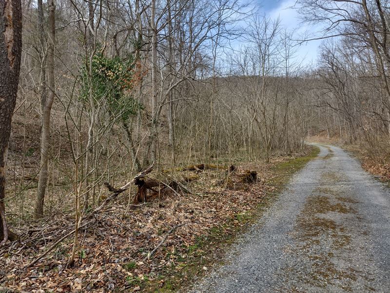 Large Recreational Property Narrows : Narrows : Giles County : Virginia