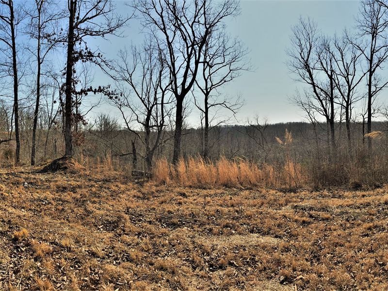 Big Cedar Creek Tract J : Linden : Perry County : Tennessee