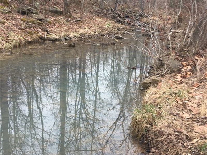 Mountain Land with Creek : Leslie : Searcy County : Arkansas