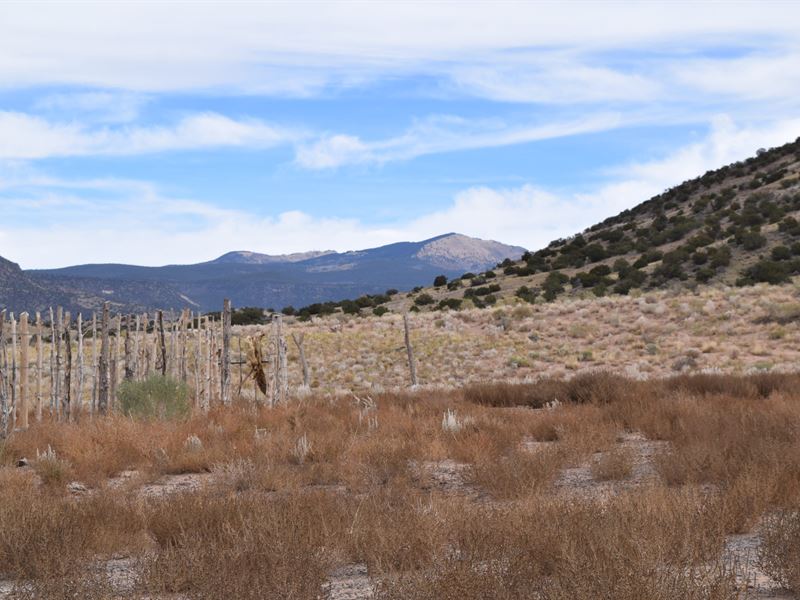 El Rito Allotment : Grants : Cibola County : New Mexico